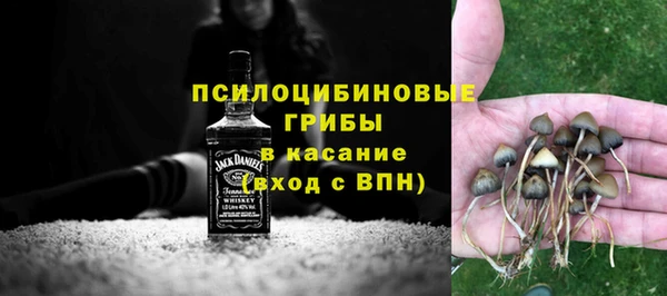 spice Арсеньев