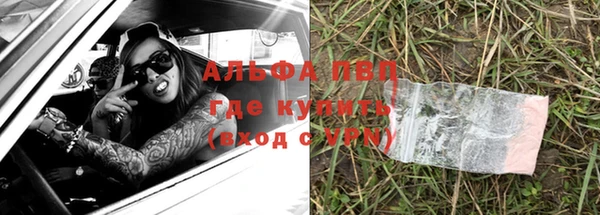 ешки Аркадак