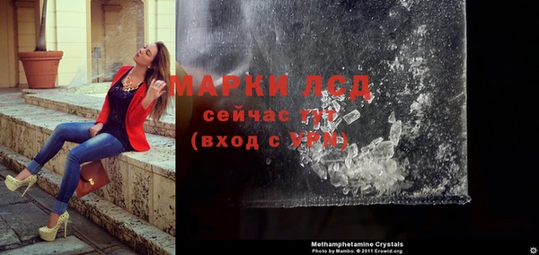 ешки Аркадак