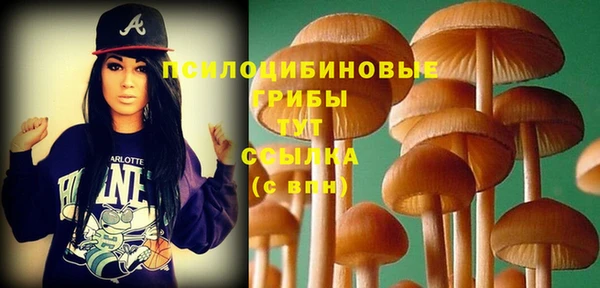 ешки Аркадак
