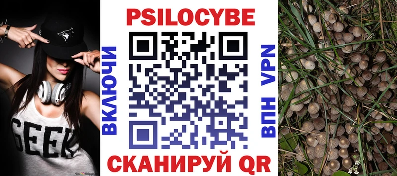 Купить закладки  Староминская  Псилоцибиновые грибы мухоморы 